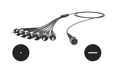 Lineární vláknové svazky s rozvětvením